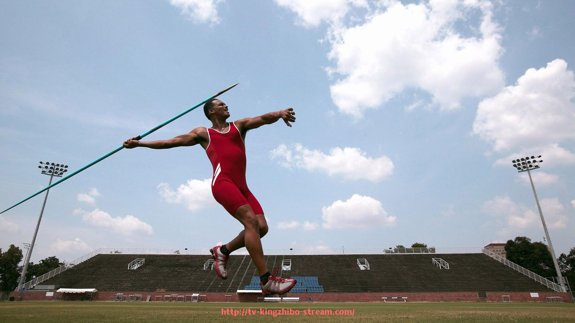 王者体育直播-世俱杯赛场人流控制措施设计与观赛秩序保障机制